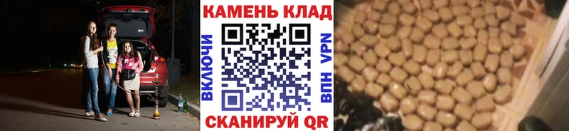 Наркотические вещества Ленинск-Кузнецкий A PVP Мефедрон Псилоцибиновые грибы Cocaine ГАШ