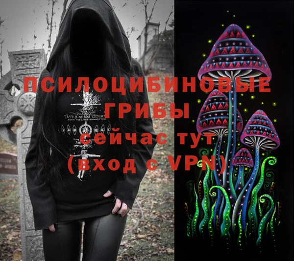 молекула духа Алзамай
