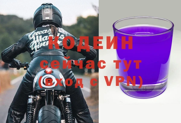 молекула духа Алзамай