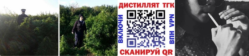 МЕГА ссылка Ленинск-Кузнецкий ТГК THC oil
