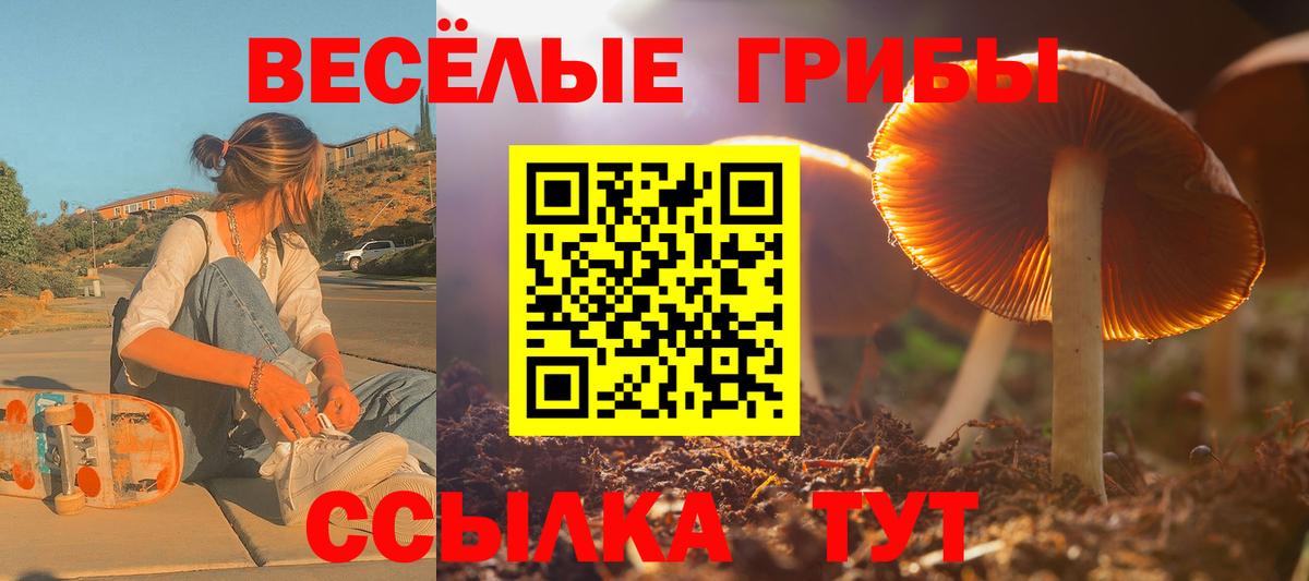 Галлюциногенные грибы GOLDEN TEACHER Ленинск-Кузнецкий